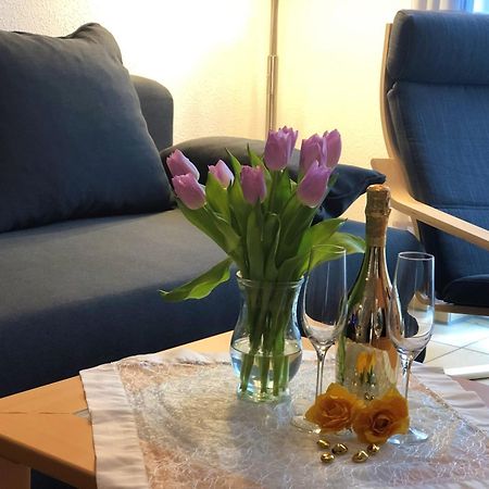 Elbidyll Apartment Магдебург Екстериор снимка