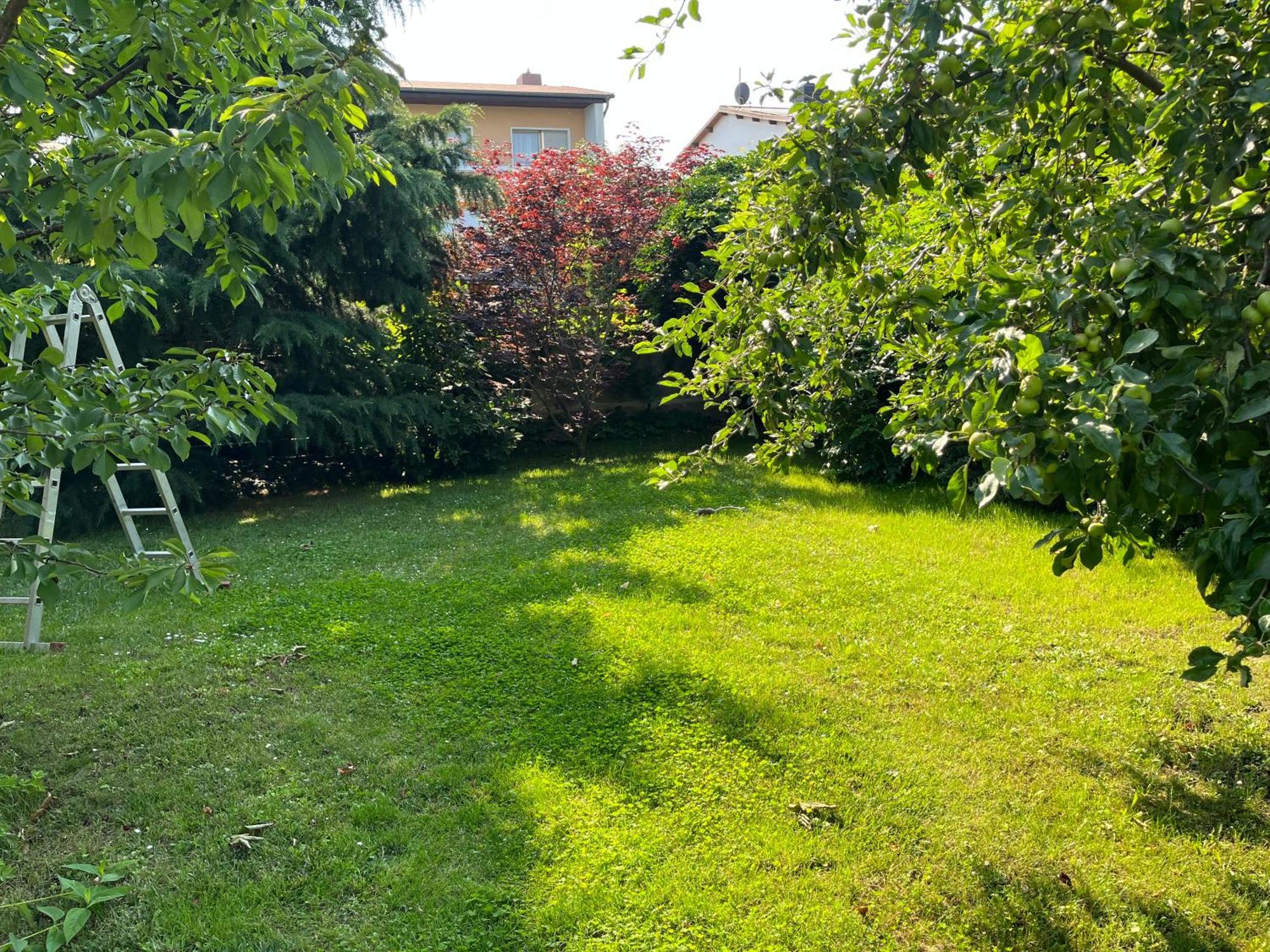 Elbidyll Apartment Магдебург Екстериор снимка