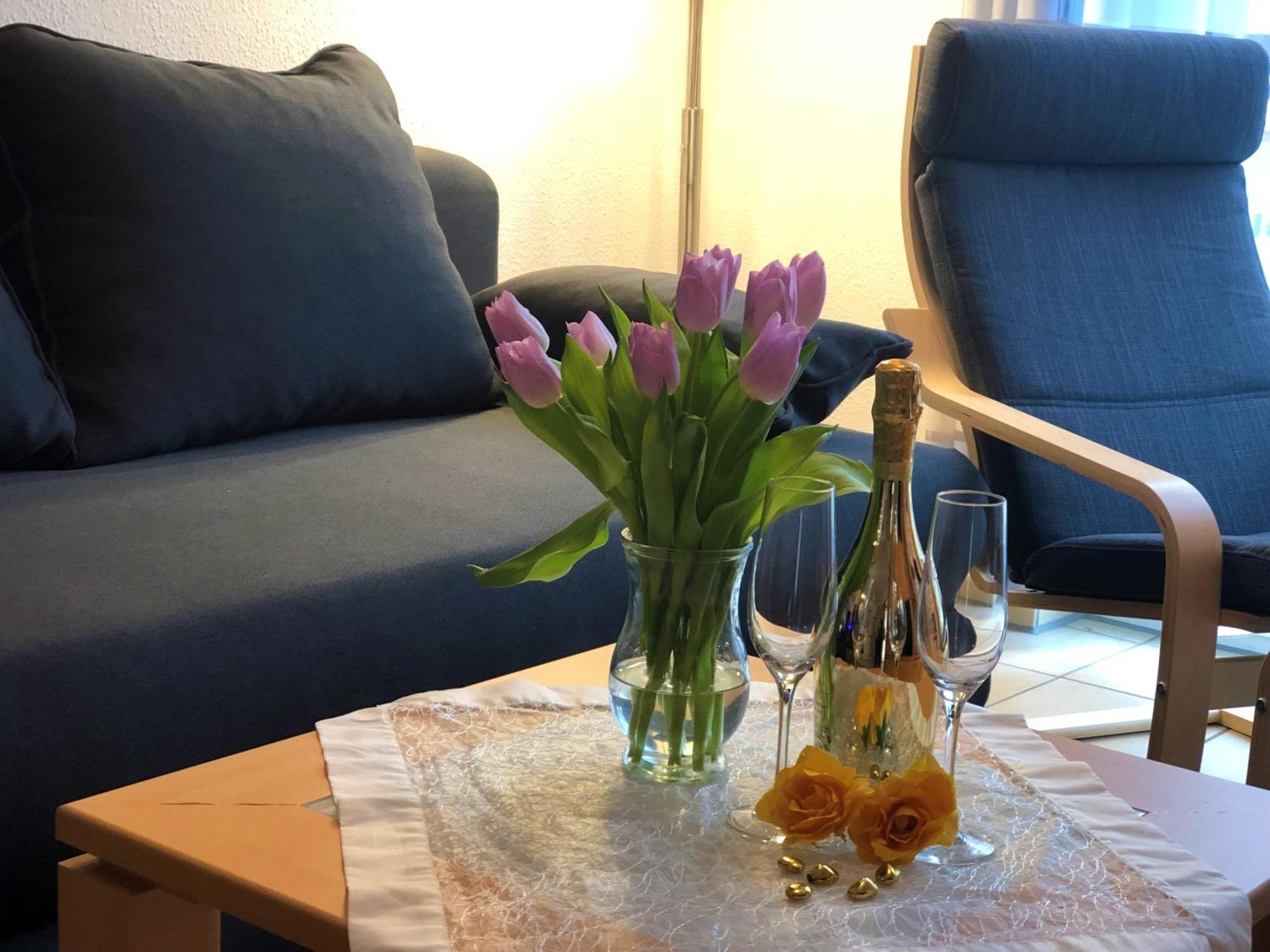 Elbidyll Apartment Магдебург Екстериор снимка